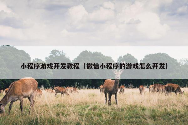 小程序游戏开发教程（微信小程序的游戏怎么开发）