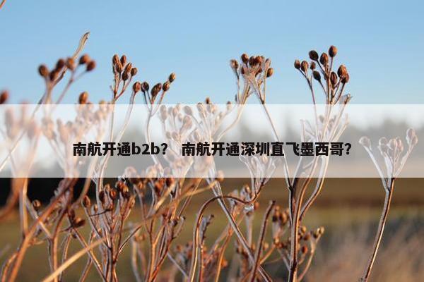 南航开通b2b？ 南航开通深圳直飞墨西哥？