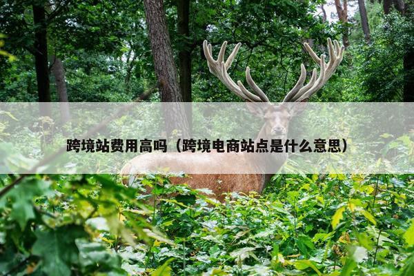 跨境站费用高吗（跨境电商站点是什么意思）