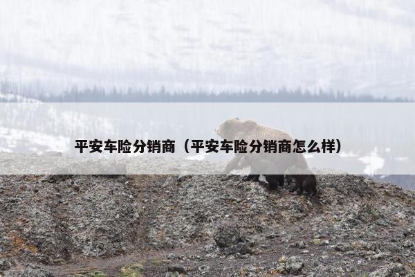 平安车险分销商（平安车险分销商怎么样）