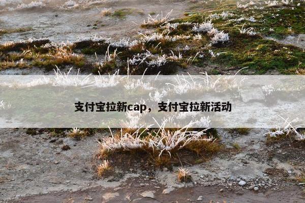支付宝拉新cap，支付宝拉新活动