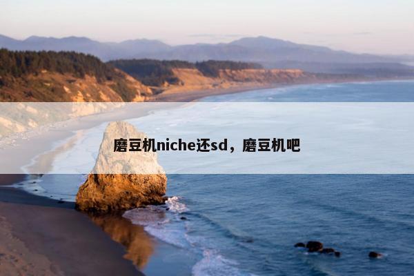 磨豆机niche还sd，磨豆机吧
