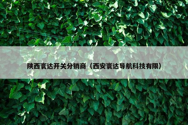 陕西寰达开关分销商（西安寰达导航科技有限）