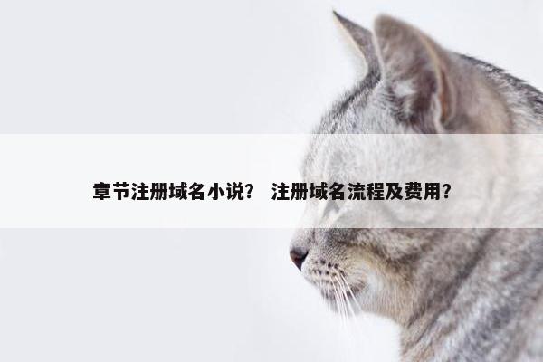 章节注册域名小说？ 注册域名流程及费用？