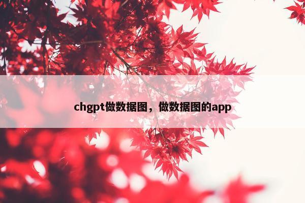 chgpt做数据图，做数据图的app