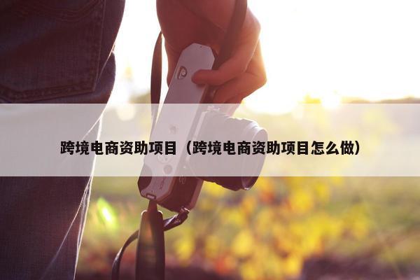 跨境电商资助项目（跨境电商资助项目怎么做）