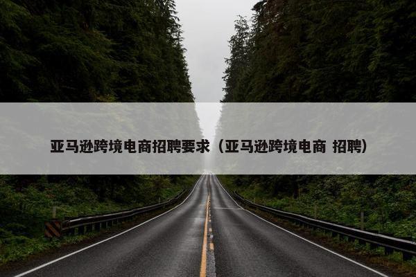 亚马逊跨境电商招聘要求（亚马逊跨境电商 招聘）