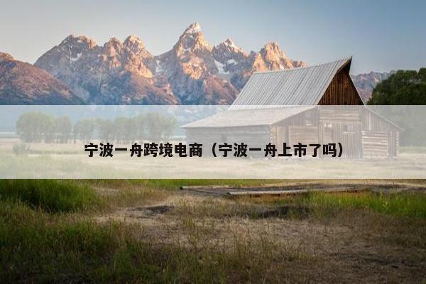 宁波一舟跨境电商（宁波一舟上市了吗）