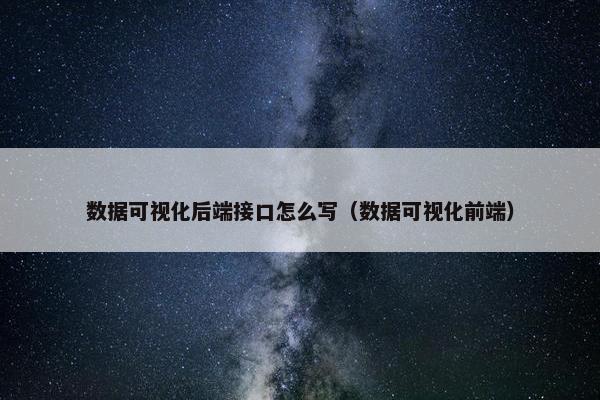 数据可视化后端接口怎么写（数据可视化前端）