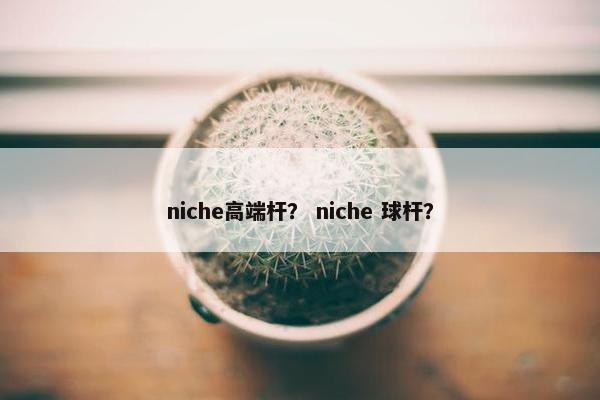 niche高端杆？ niche 球杆？