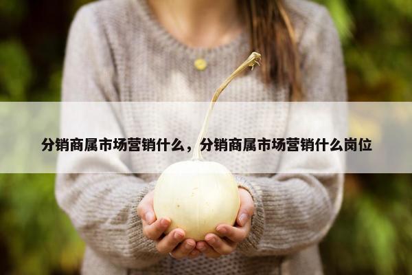分销商属市场营销什么，分销商属市场营销什么岗位