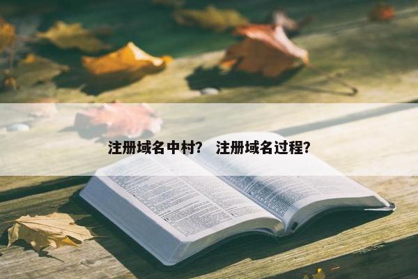 注册域名中村？ 注册域名过程？
