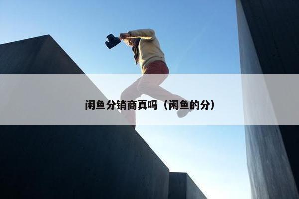 闲鱼分销商真吗（闲鱼的分）