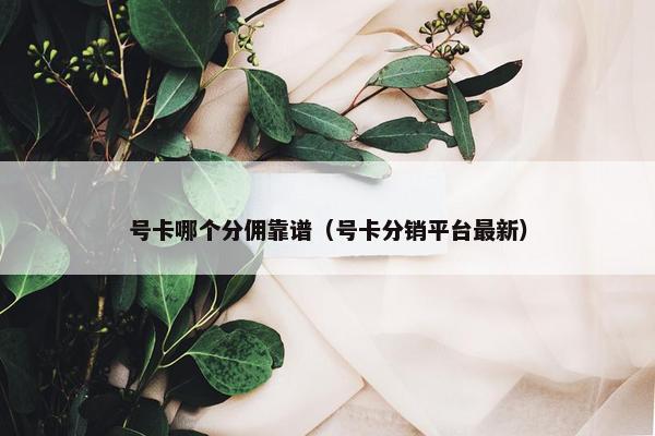 号卡哪个分佣靠谱（号卡分销平台最新）