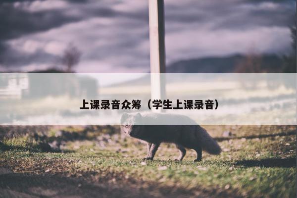上课录音众筹（学生上课录音）