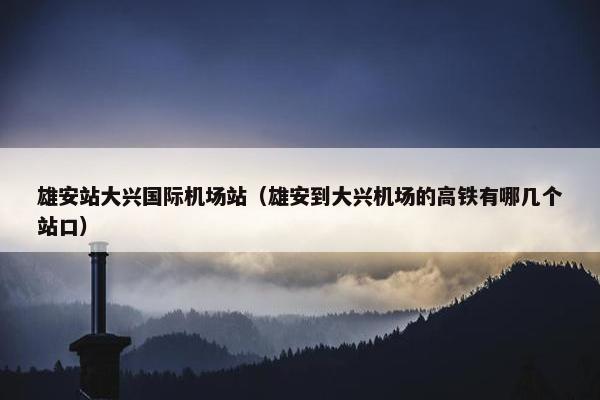 雄安站大兴国际机场站（雄安到大兴机场的高铁有哪几个站口）