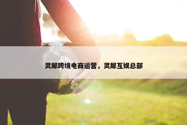 灵犀跨境电商运营，灵犀互娱总部
