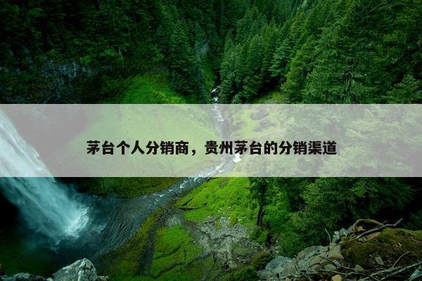 茅台个人分销商，贵州茅台的分销渠道