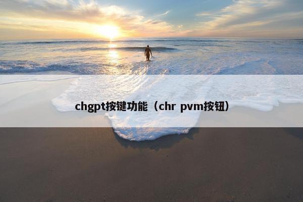 chgpt按键功能（chr pvm按钮）