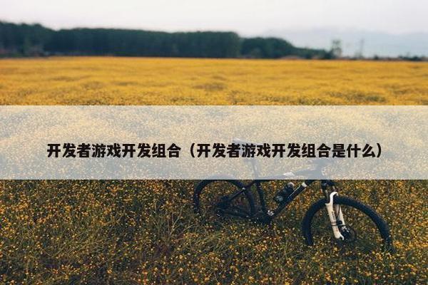 开发者游戏开发组合（开发者游戏开发组合是什么）