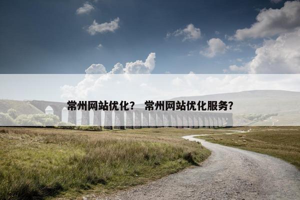 常州网站优化？ 常州网站优化服务？