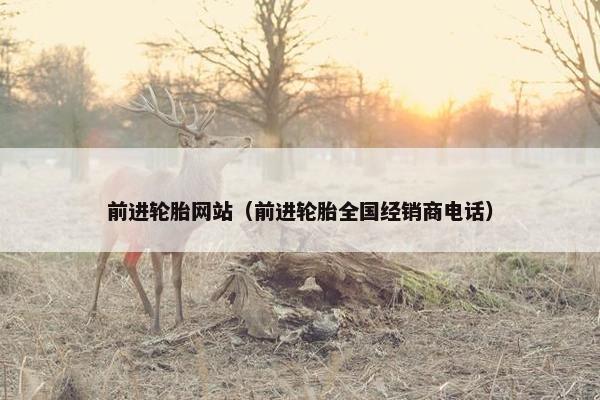 前进轮胎网站（前进轮胎全国经销商电话）