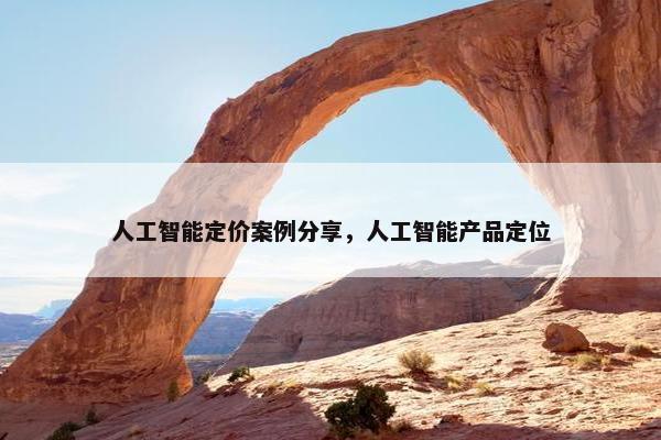 人工智能定价案例分享，人工智能产品定位
