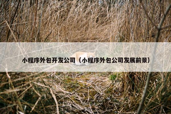小程序外包开发公司（小程序外包公司发展前景）