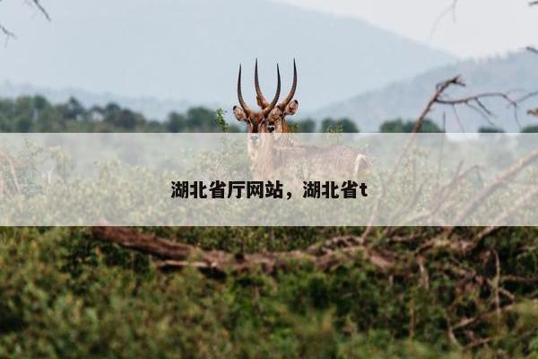 湖北省厅网站，湖北省t