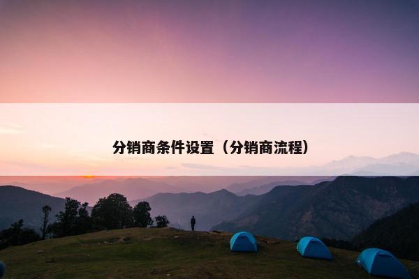 分销商条件设置（分销商流程）