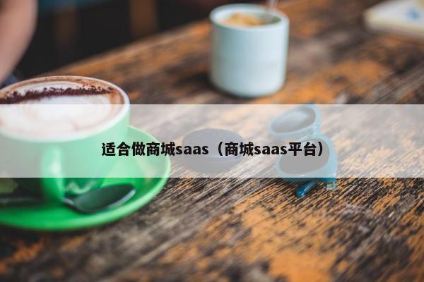 适合做商城saas（商城saas平台）