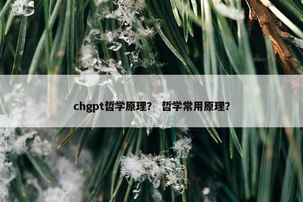 chgpt哲学原理？ 哲学常用原理？