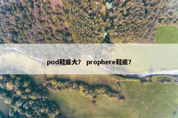 pod鞋底大？ prophere鞋底？
