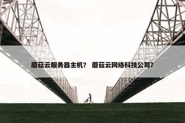 蘑菇云服务器主机？ 蘑菇云网络科技公司？