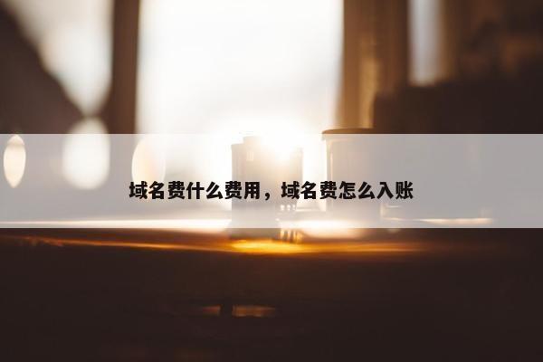 域名费什么费用，域名费怎么入账