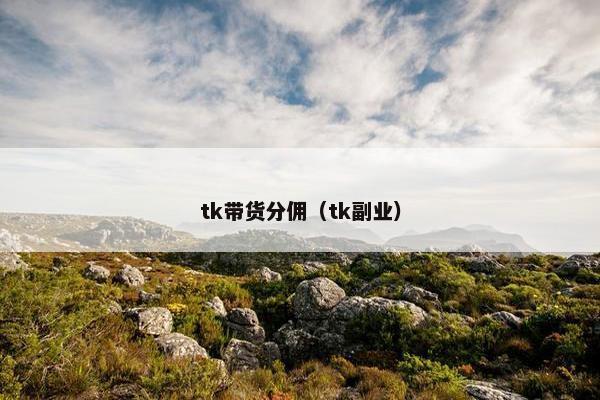 tk带货分佣（tk副业）