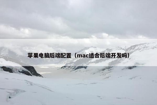 苹果电脑后端配置（mac适合后端开发吗）