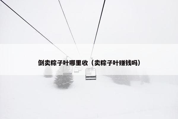 倒卖粽子叶哪里收（卖粽子叶赚钱吗）