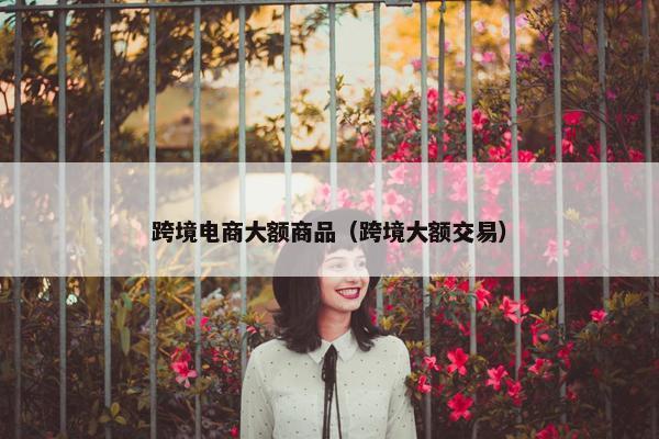 跨境电商大额商品（跨境大额交易）