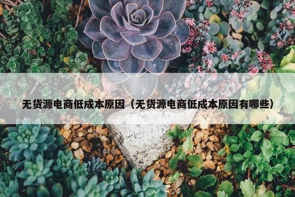 无货源电商低成本原因（无货源电商低成本原因有哪些）