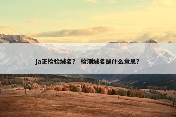 ja正检验域名？ 检测域名是什么意思？