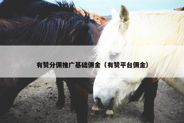 有赞分佣推广基础佣金（有赞平台佣金）