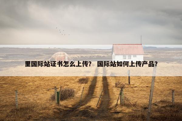 里国际站证书怎么上传？ 国际站如何上传产品？