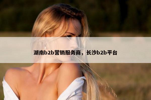 湖南b2b营销服务商，长沙b2b平台