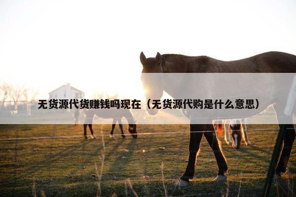 无货源代货赚钱吗现在（无货源代购是什么意思）