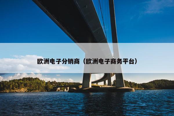 欧洲电子分销商（欧洲电子商务平台）