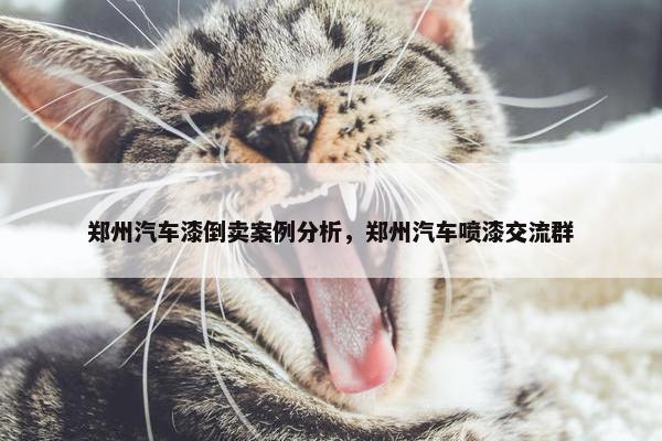 郑州汽车漆倒卖案例分析，郑州汽车喷漆交流群