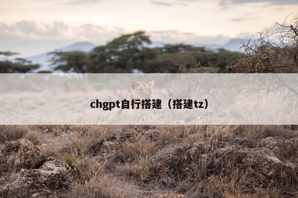 chgpt自行搭建（搭建tz）