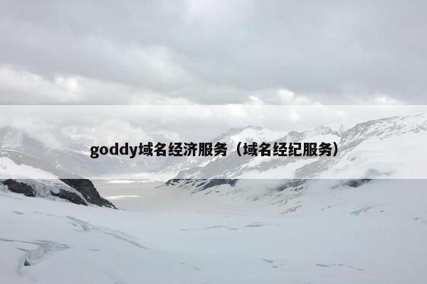 goddy域名经济服务（域名经纪服务）
