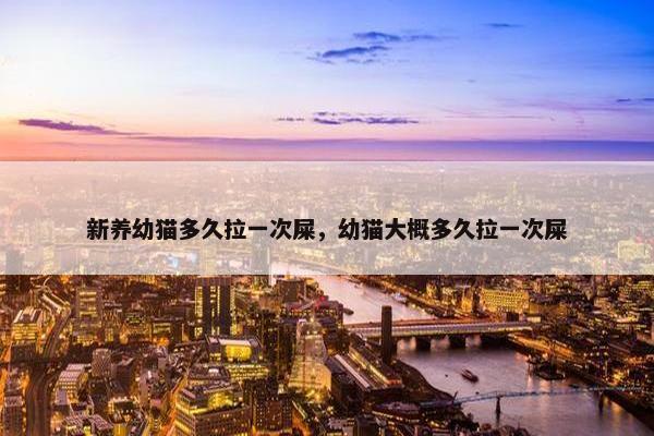 新养幼猫多久拉一次屎，幼猫大概多久拉一次屎